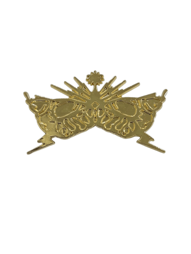 وينق اقتحام حديد