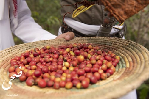 السعودية (داير بني مالك)