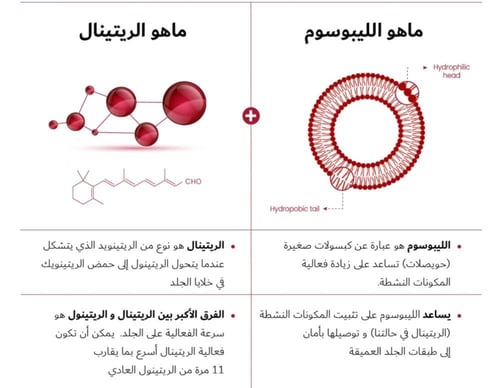 كريم سيول 1988 المجدد من كي سيكريت بالريتينال اللي...