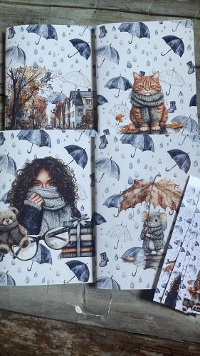 مجموعة يوم ممطر