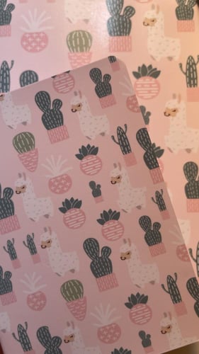 دفاتر اللاما اللطيفة