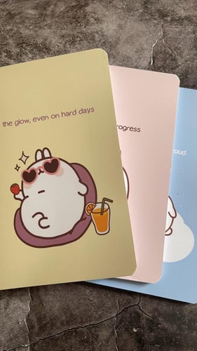 مجموعة Molang – ٣ دفاتر