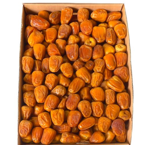 مفتل سكري س . د 26 - 3كيلو تقريبا