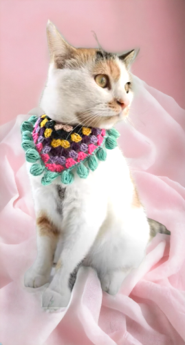 كولة للقطة على شكل بندانة