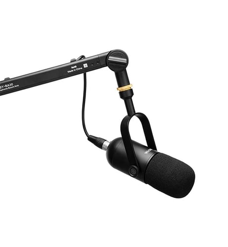 BY-DM500 Dynamic Broadcasting Microphone