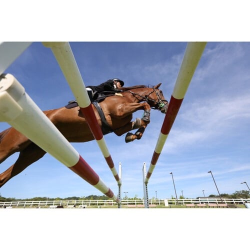 Canon EOS R6 Mark II Mirrorless Camera Body