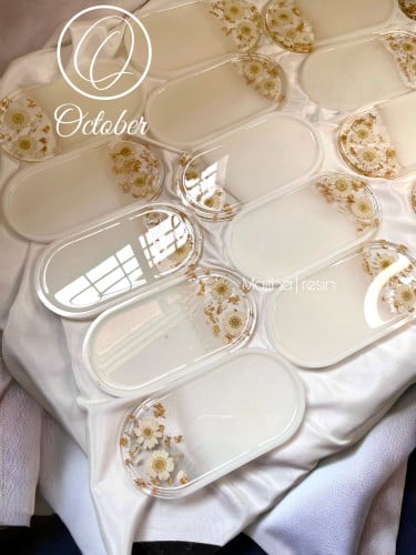 كوستر 12 حبه