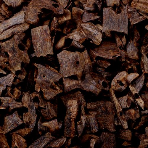 عود كينام الطبيعي