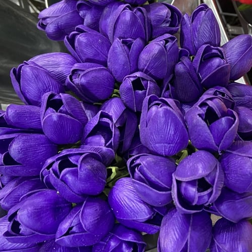 بوكس التخرج بـورد التوليب صناعي