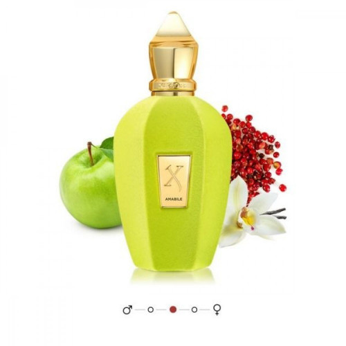 عطر زيرجوف امابيل 100مل