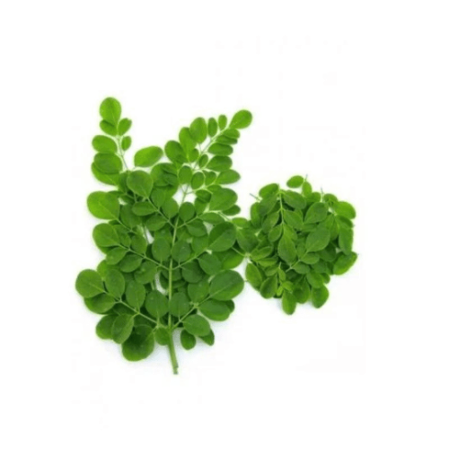 مورينجا عضوية