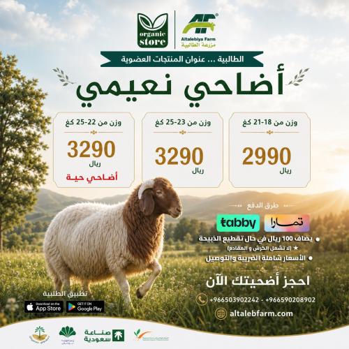 أضاحي نعيمي عضوية وزن 18-21 كيلو - الرياض فقط