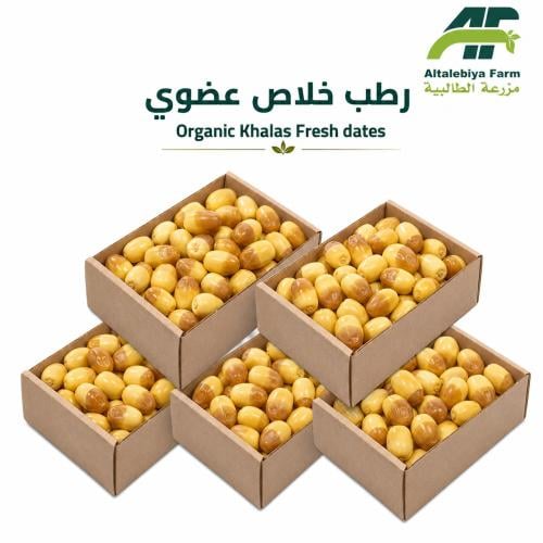 Organic Khalas Dates 700 g - 5 PCs