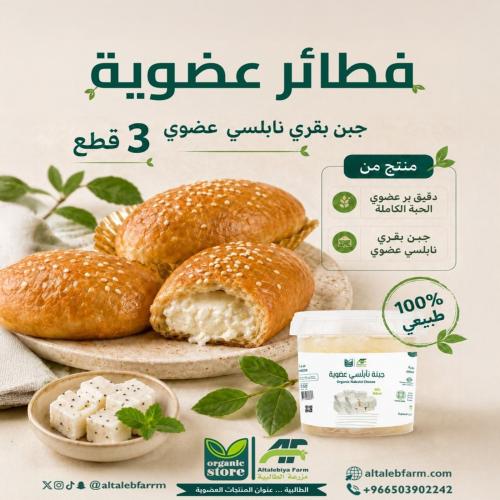 فطائر جبن بقري نابلسي عضوي - 3 قطع