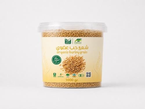 شعير عضوي غير معدل وراثيا