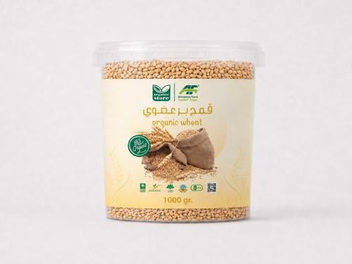 قمح بر الحبة الكاملة - بلدي صماء عضوي