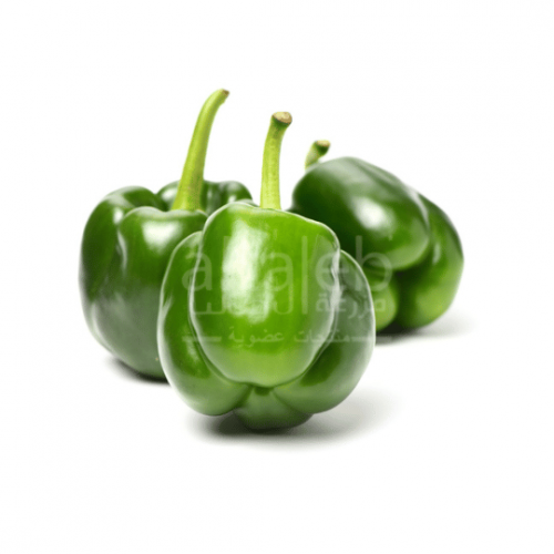 فلفل رومي أخضر