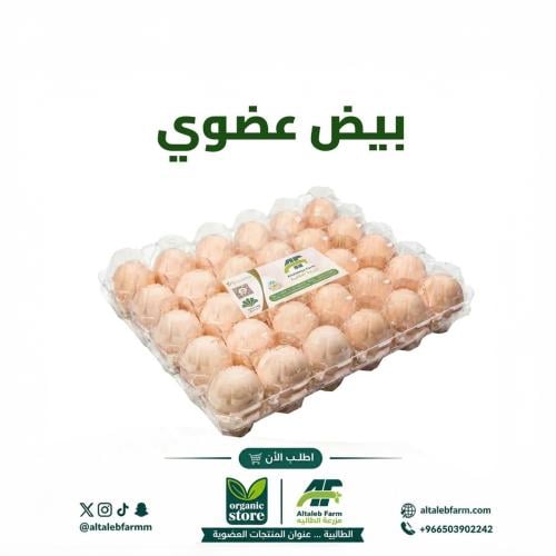 بيض بلدي مرعى حر عضوي (30 حبة)