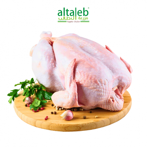 دجاج بلدي مرعى حر عضوي