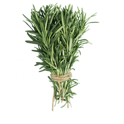 اكليل الجبل عضوي