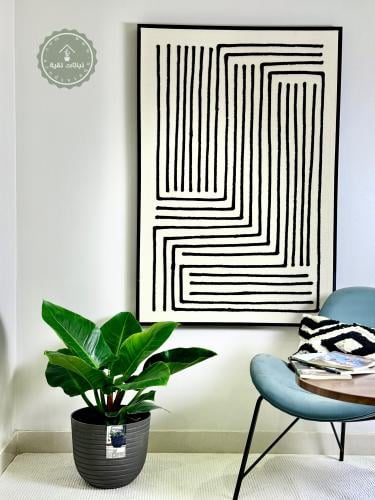 نبتة فيلوداندرون امبريال الخضراء