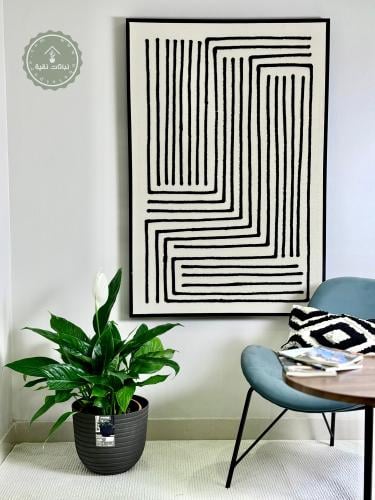 نبتة الأشرعة البيضاء