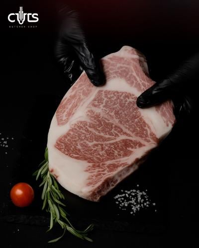 ريب اى واغيو يابانى 12+ A5