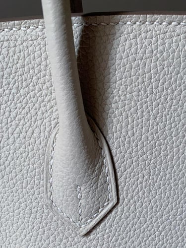 Hermès Birkin 25 Togo Leather Handbag