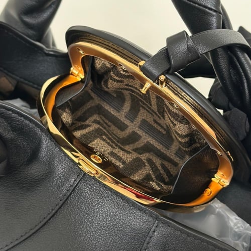 Fendi Spy Handbag