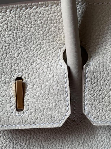 Hermès Birkin 25 Togo Leather Handbag