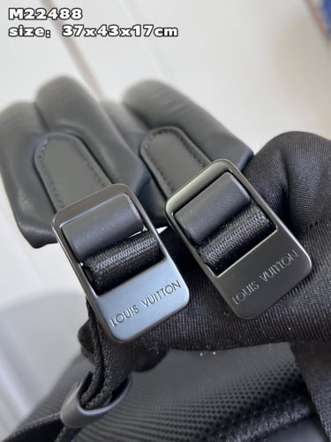 LV bag