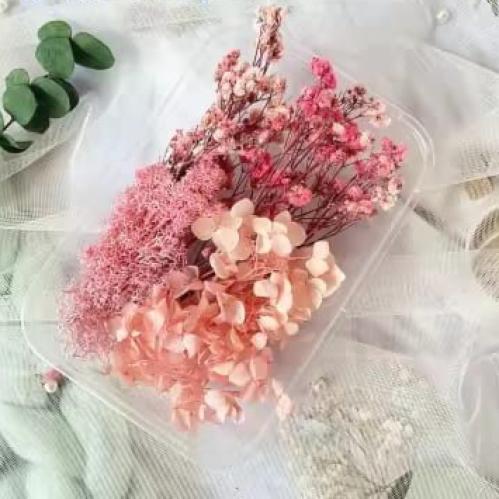 تشكيلة الزهور المجففة الوردية