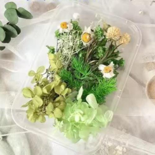 تشكيلة الزهور المجففة الخضراء