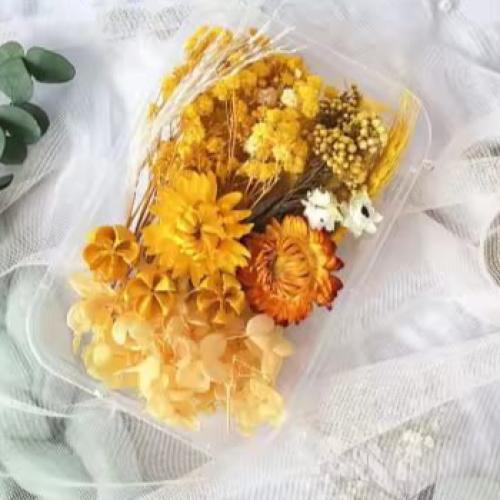 تشكيلة الزهور المجففة الصفراء