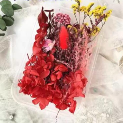 تشكيلة الزهور المجففة الحمراء