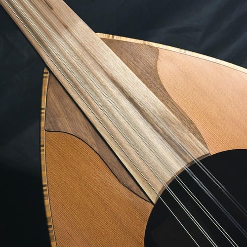 عود زرياب موديل 0