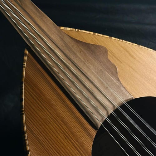 عود زرياب موديل 0