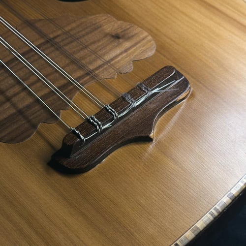 عود زرياب موديل 0