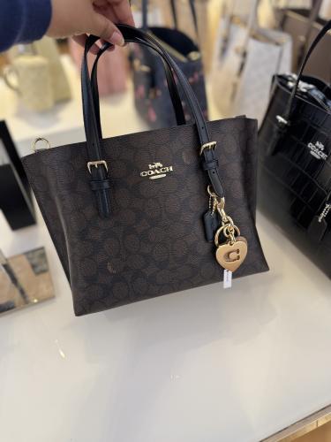 شنطة كوتش - Mollie 25 الحجم الصغير