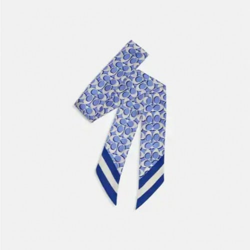 اكسسوارات شنط كوتش