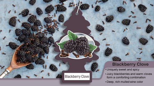 عطر سيارة للجو من ليتل تري رائحة التوت الأسود- 6 ق...