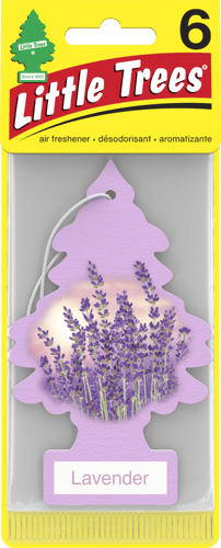 معطر جو من ليتل تري رائحه الخزامى - 6 قطع Little T...