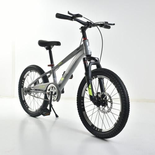 دراجة هوائية احترافية 20 بوصة باللون الفضي الغامق