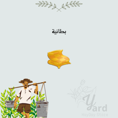 100 بطانية