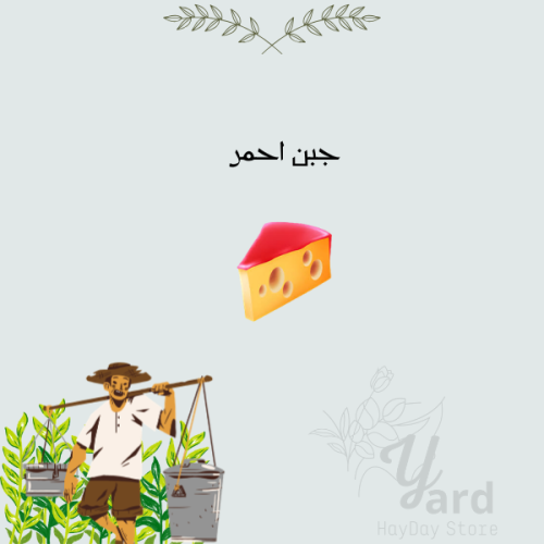 100 جبن أحمر