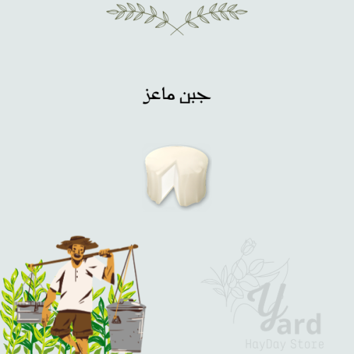 50 جبن ماعز
