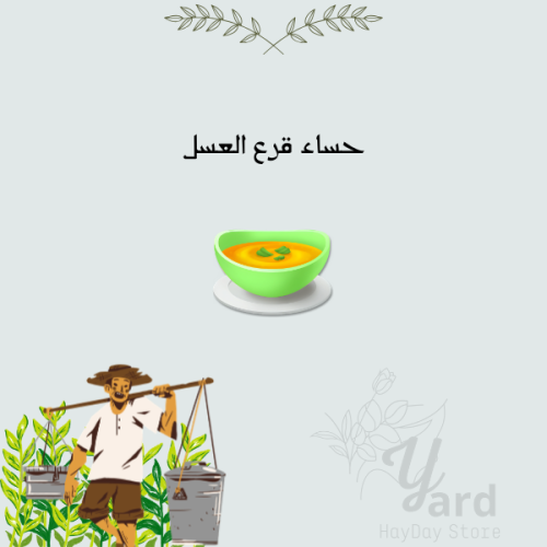 50 حساء قرع العسل