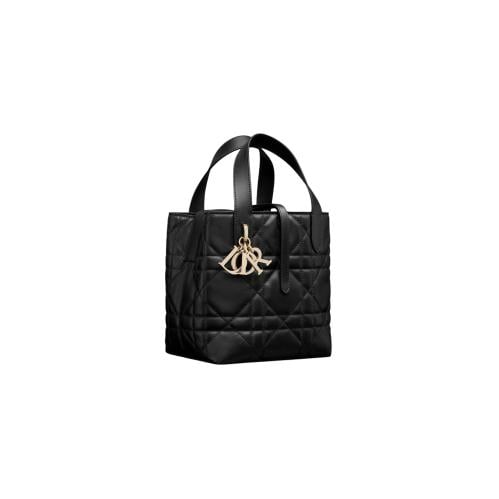 شنطة ديور Snall Dior Toujours Vertical Tote Bag