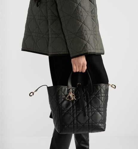 شنطة ديور Medium Dior Toujours Vertical Tote Bag