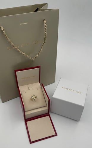 ملحقات روبرتو كوين